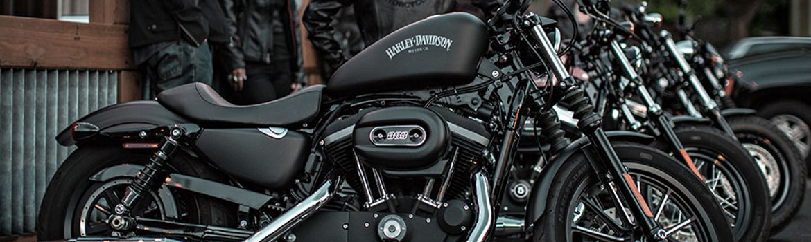 Harley-Davidson® Sportster Parts for sale in Ronnie's Harley-Davidson® Ecommerce, Pittsfield, Massachusetts